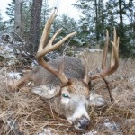 ontario hunting, camp narrows lodge, rainy lake