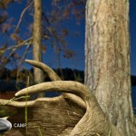 ontario hunting, camp narrows lodge, rainy lake