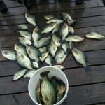 ontario hunting, camp narrows lodge, rainy lake