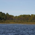 ontario hunting, camp narrows lodge, rainy lake