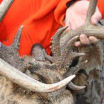 ontario hunting, camp narrows lodge, rainy lake