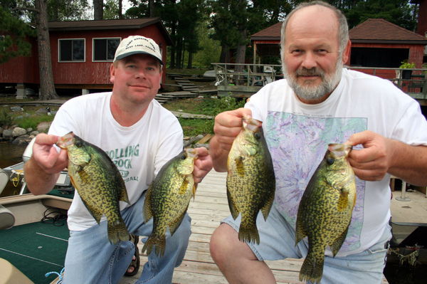 Black Crappie - Fishing Toronto